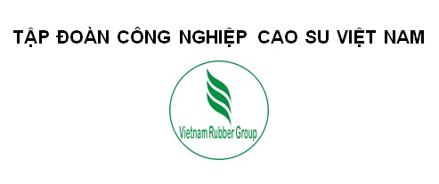 Cổ đông 2