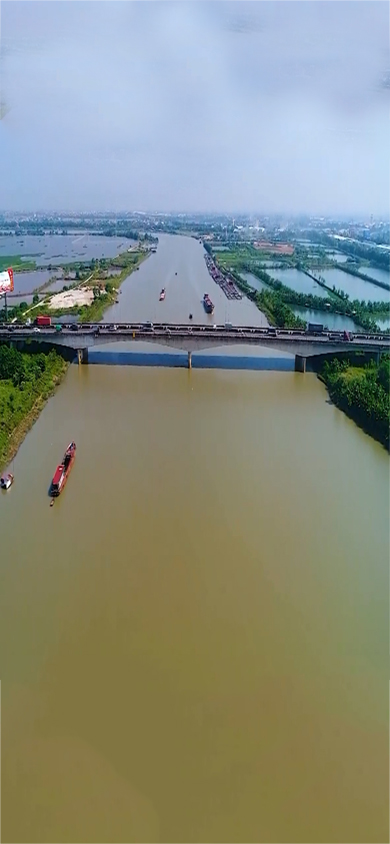 Diện tích tự nhiên